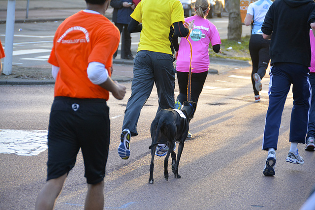 Singelloop 2013 – Oslo