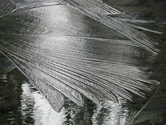 Feathers of ice