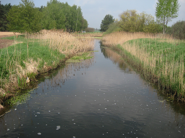 Amtsgraben bei Kleinschulzendorf