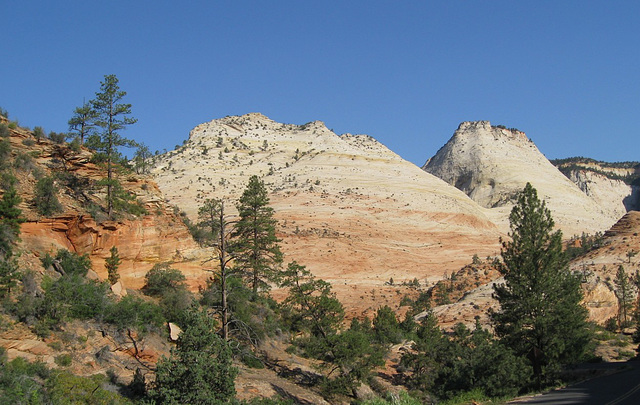 Zion National Park 316a