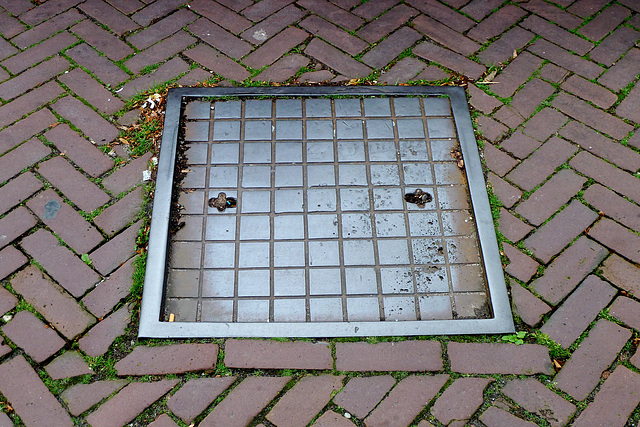 Manhole cover