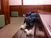 People sleeping in the former first-class waiting room of Haarlem station