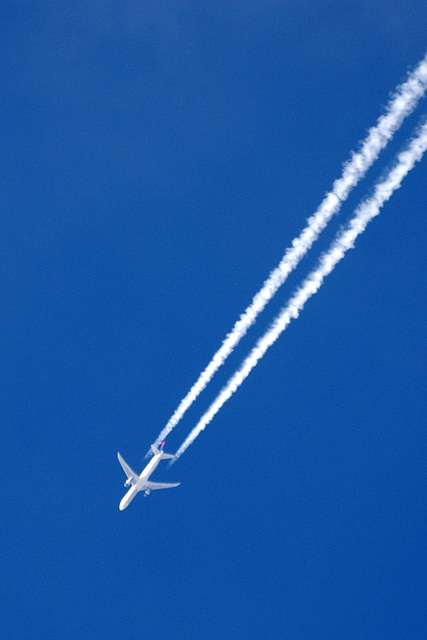 N829MH B767-432ER Delta Airlines