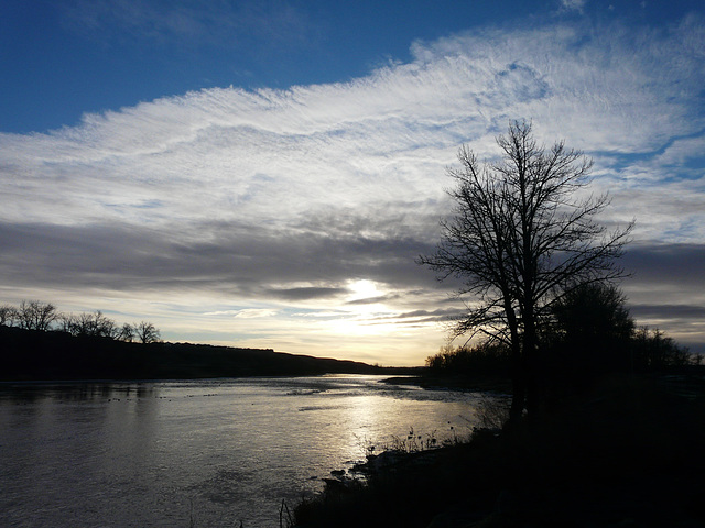 Morning walk by the Bow River