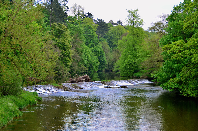 River Eden, Appleby