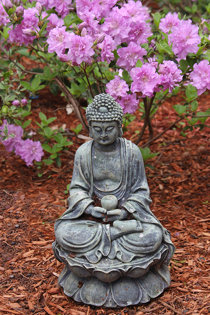 Garden Buddha