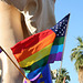 Palm Springs Rally For Supreme Court Decisions (2747)