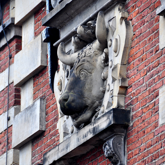 Cow's head on the former meat market in Haarlem