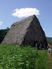 Tobacco drying barn