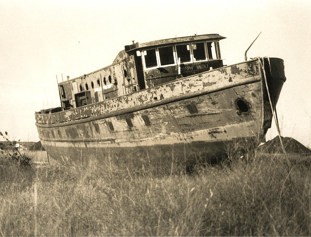 Old Fashion Sepia Tone ... of a favorite subject.