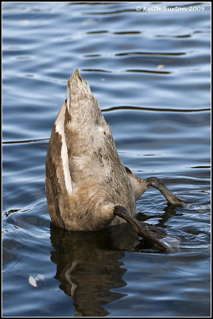 Bottoms up!