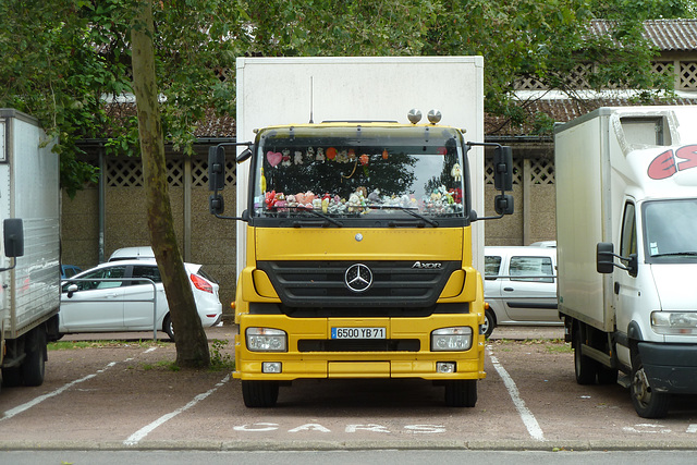 France 2012 – Mercedes-Benz lorry with furry animals