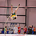 Logan Vaulting