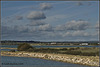 Langstone Harbour - Old Oyster Beds