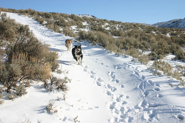 Jack & Jill running