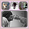 Collage ♥