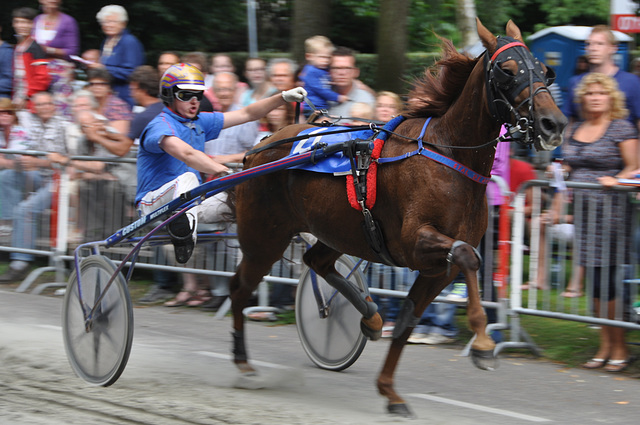 Short-track harness racing in 10 shots – number 10