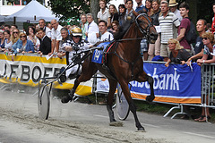 Short-track harness racing