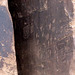 Moab Petroglyphs, Potash Rd. 1803a