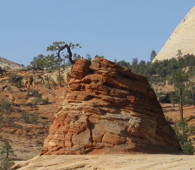 Zion National Park 315a