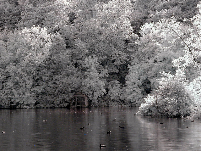 Boat House 3