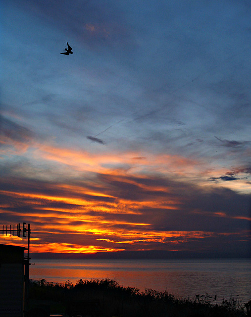 Cromer sunset