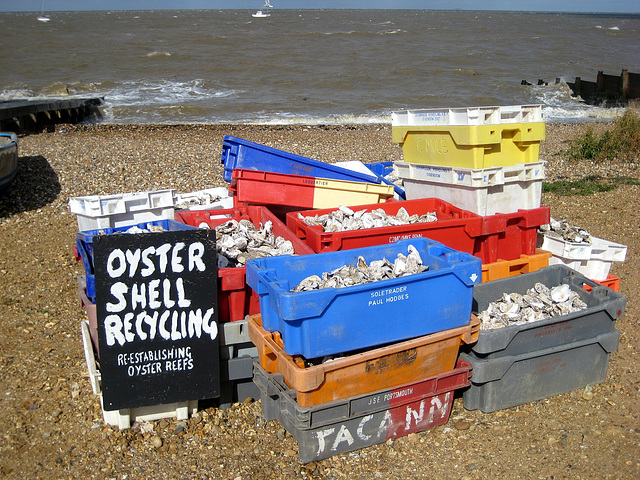 Oyster Shell Recycling