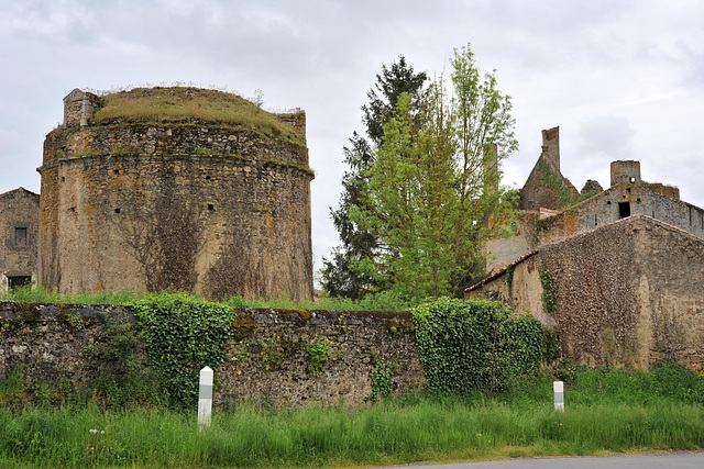 Le colombier du Château de Glénay - Deux-Sèvres