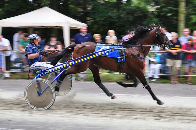 Short-track harness racing – Hover horse