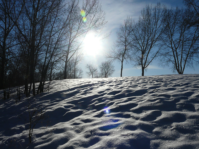 Sunlit snow