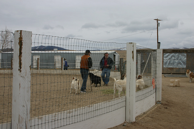 Steve & Jack w/Ian and goats