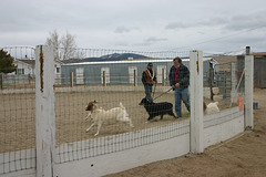 Steve & Jack w/Ian and goats