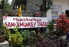 Samui Monkey Theatre