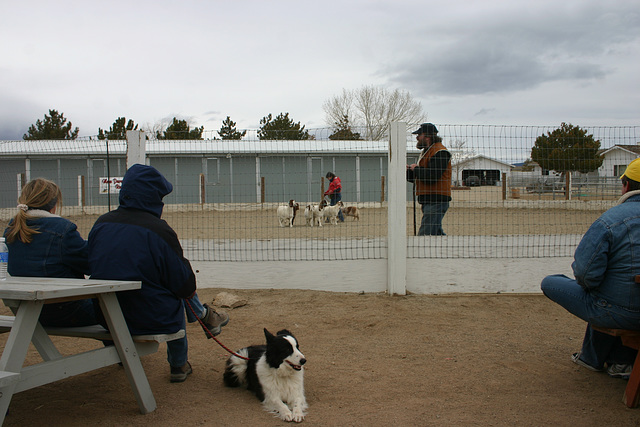 Joyce, Jill & goats, and Ian