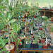 Greenhouse plants 2