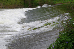 Weir