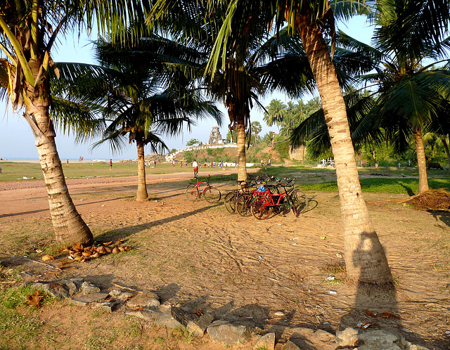 Beachside Bicycle Park