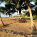 Beachside Bicycle Park