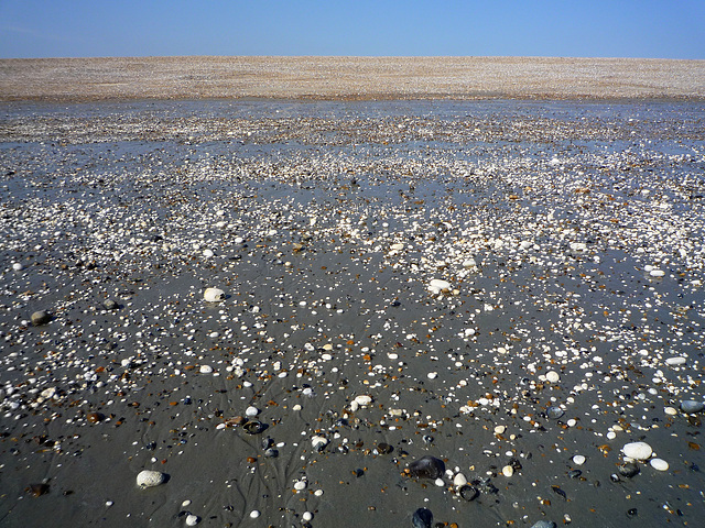 chalky beach