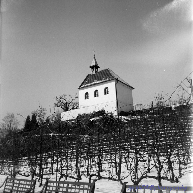 St Clara's Chapel & Vineyard