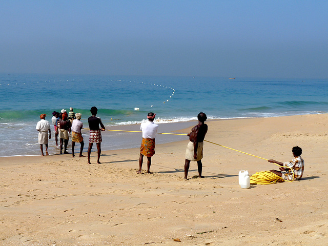 Hauling in the Net #7