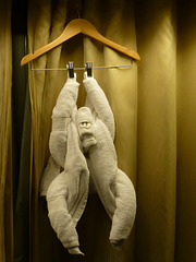 The Towel Monkey - 31 January 2014