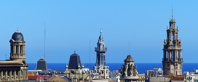 Plantés sur l'horizon