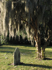 Colonial Cemetery