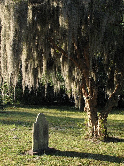 Colonial Cemetery