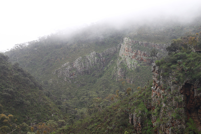 Morialta in the mist