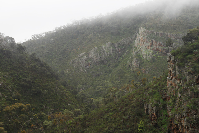 Morialta in the mist