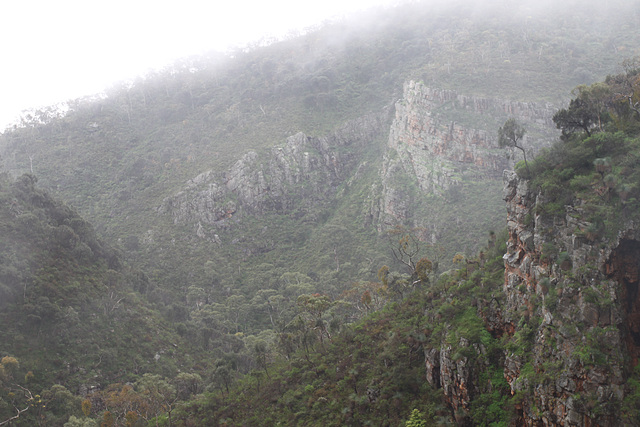 Morialta in the mist