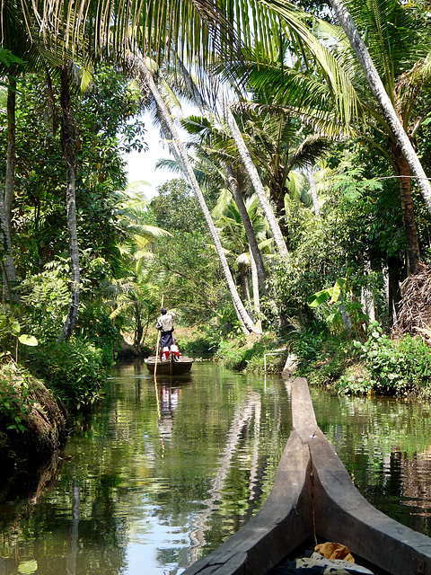 Backwater Tranquillity #1