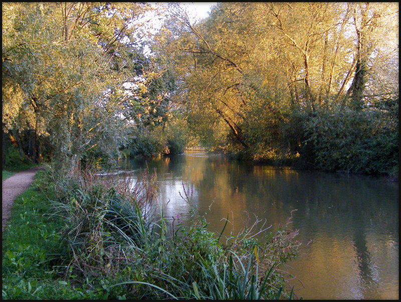 golden evening along the Thames